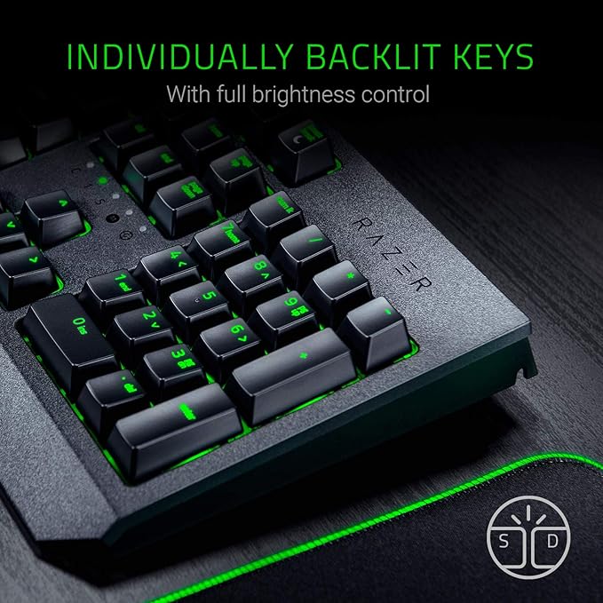 Razer BlackWidow Standard Edition Mechanical Gaming Keyboard - RGB Backlit, Green Switches, 104 Keys, Wired USB